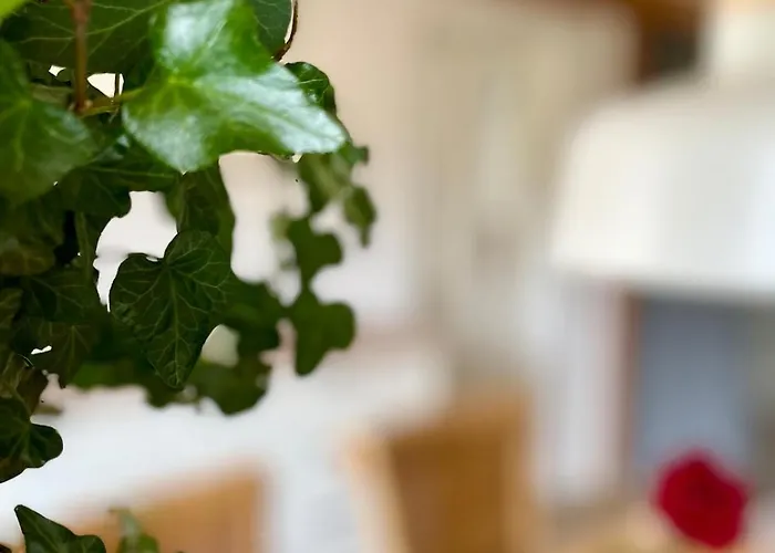 아파트 Instenhuus *