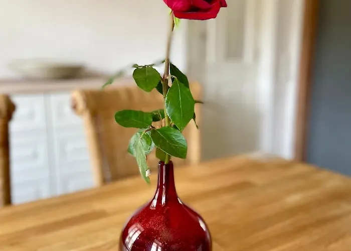 아파트 Instenhuus Steinbergkirche